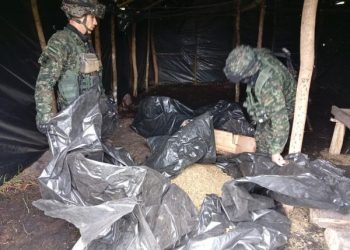 Ejército Nacional destruyó e incautó marihuana y clorhidrato de cocaína en Uribia, La Guajira