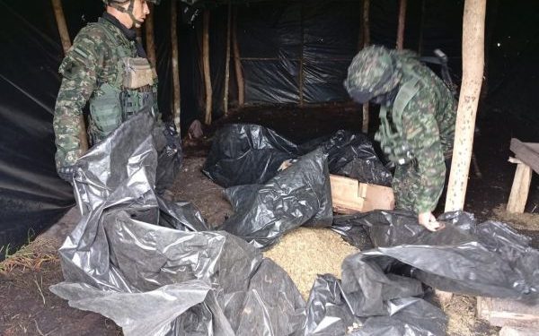 Ejército Nacional destruyó e incautó marihuana y clorhidrato de cocaína en Uribia, La Guajira