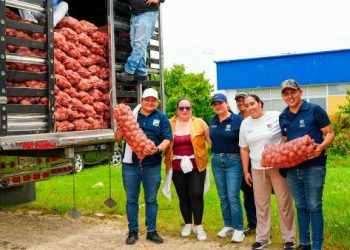 Gobierno inicia compra pública de papa para apoyar a productores y fortalecer la seguridad alimentaria