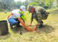 Ejército Nacional impulsa la siembra de 15.000 árboles en el Cesar