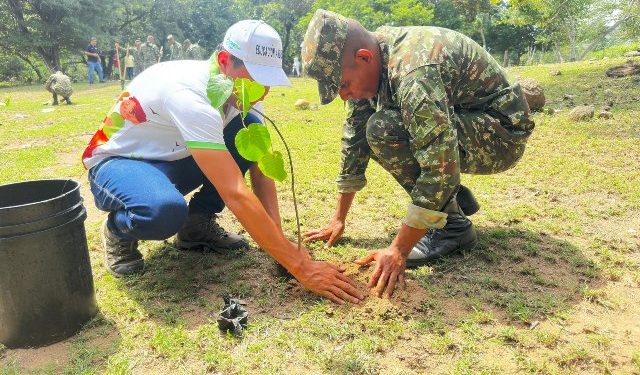 Ejército Nacional impulsa la siembra de 15.000 árboles en el Cesar