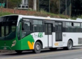 Inició proceso de transición de Metrolínea con buses padrones en Bucaramanga