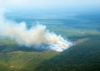 Defensoría mantiene vigilancia sobre incendios forestales en regiones vulnerables de Colombia