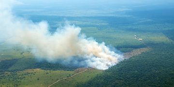 Defensoría mantiene vigilancia sobre incendios forestales en regiones vulnerables de Colombia