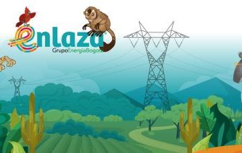 Enlaza cierra un año de logros claves en las regiones