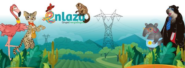 Enlaza cierra un año de logros claves en las regiones