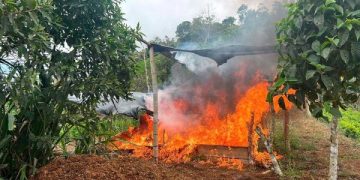 Presidente Petro reiteró invitación a Donald Trump para que venga a Colombia a conocer cómo se destruyen laboratorios
