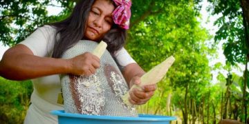 Gobernación del Atlántico impulsa la gastronomía autóctona con el Festival Carnestolendo de la Yuca