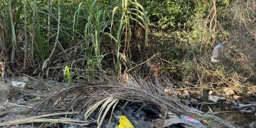 Gobernación de La Guajira emite recomendaciones ante posible temporada de incendios forestales