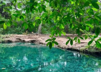 Corpoguajira niega licencia ambiental al proyecto minero Cañaverales en La Guajira