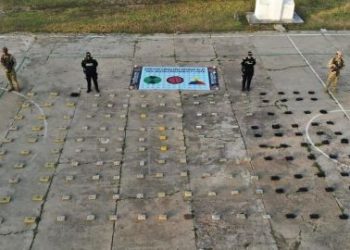 Policía y Ejército decomisan un cargamento de marihuana en área rural de Maicao