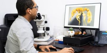 UNIMAGDALENA, primera institución colombiana en integrar la red digital mundial – AntWeb