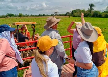 Diez predios vinculados al Clan del Golfo y a la Casa Castaño fueron recuperados por la ANT y pasarán a manos de campesinas