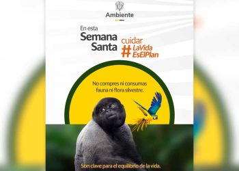 Gobierno nacional intensifica controles por tráfico ilegal de fauna y flora en Semana Santa