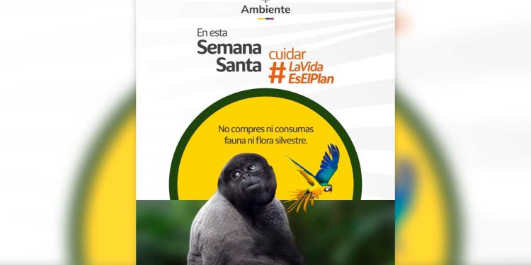 Gobierno nacional intensifica controles por tráfico ilegal de fauna y flora en Semana Santa