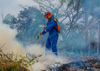 Alerta máxima por riesgo de incendios forestales en varios municipios de La Guajira