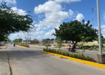Corpoguajira lidera proyecto integral para la recuperación de áreas verdes urbanas en Maicao