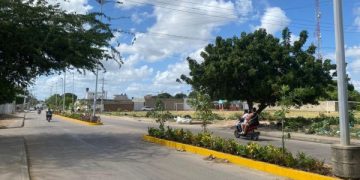 Corpoguajira lidera proyecto integral para la recuperación de áreas verdes urbanas en Maicao