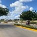 Corpoguajira lidera proyecto integral para la recuperación de áreas verdes urbanas en Maicao
