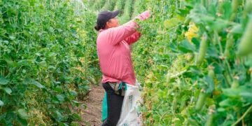 La pobreza multidimensional rural cayó 4,9 puntos entre 2022 y 2025, impulsada por la Reforma Agraria