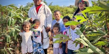Compras públicas locales fortalecen el campo guajiro y garantizan alimentación a más de 12.000 niñas y niños