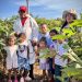 Compras públicas locales fortalecen el campo guajiro y garantizan alimentación a más de 12.000 niñas y niños