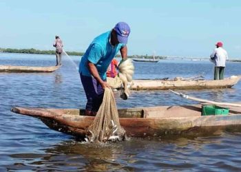 Con una inversión de más de $662 millones, Gobernación del Magdalena abre convocatoria para fortalecer el sector pesquero con las “Brigadas Pesqueras”