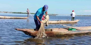 Con una inversión de más de $662 millones, Gobernación del Magdalena abre convocatoria para fortalecer el sector pesquero con las “Brigadas Pesqueras”