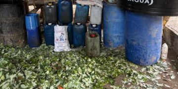 Ejército Nacional golpea economías ilícitas en La Guajira: destruido laboratorio para procesamiento de pasta base de coca