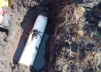 Intervención de terceros en trabajos agrícolas afectan la correcta prestación del servicio en el Corregimiento de Buenavista del municipio de Distracción, La Guajira